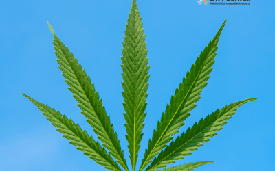 Step-by-Step Guide to Renewing Your Medical Cannabis Card