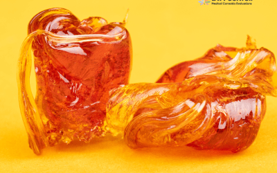 Medical Cannabis for Chronic Pain Management 2024