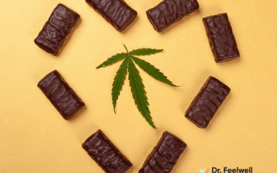 Does Cannabis Help with PTSD? Latest information 2024