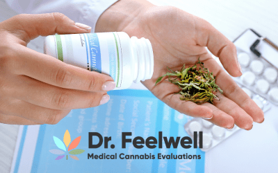 Your Guide to Obtaining a Medical Cannabis Card Online